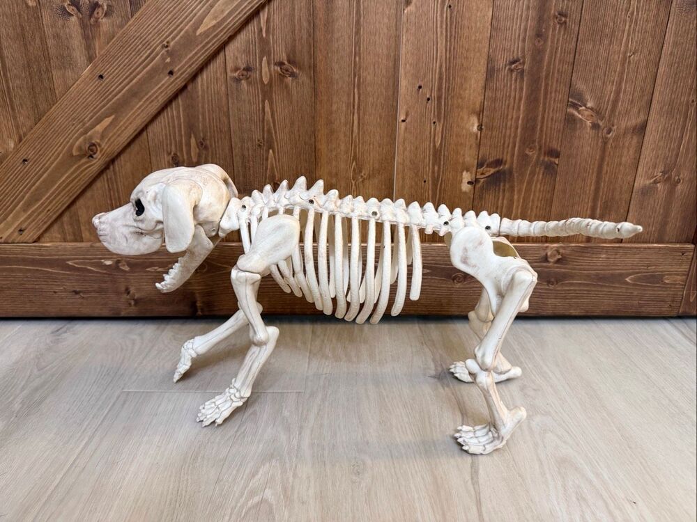 Halloween Large Dog Skeleton Decoration – Non-Moving (9135)